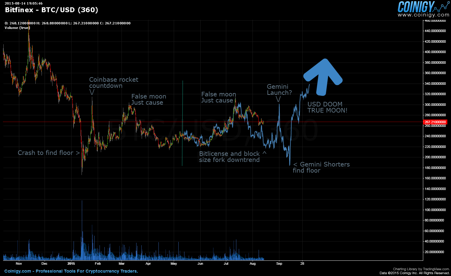 btc usd chart bitfinex
