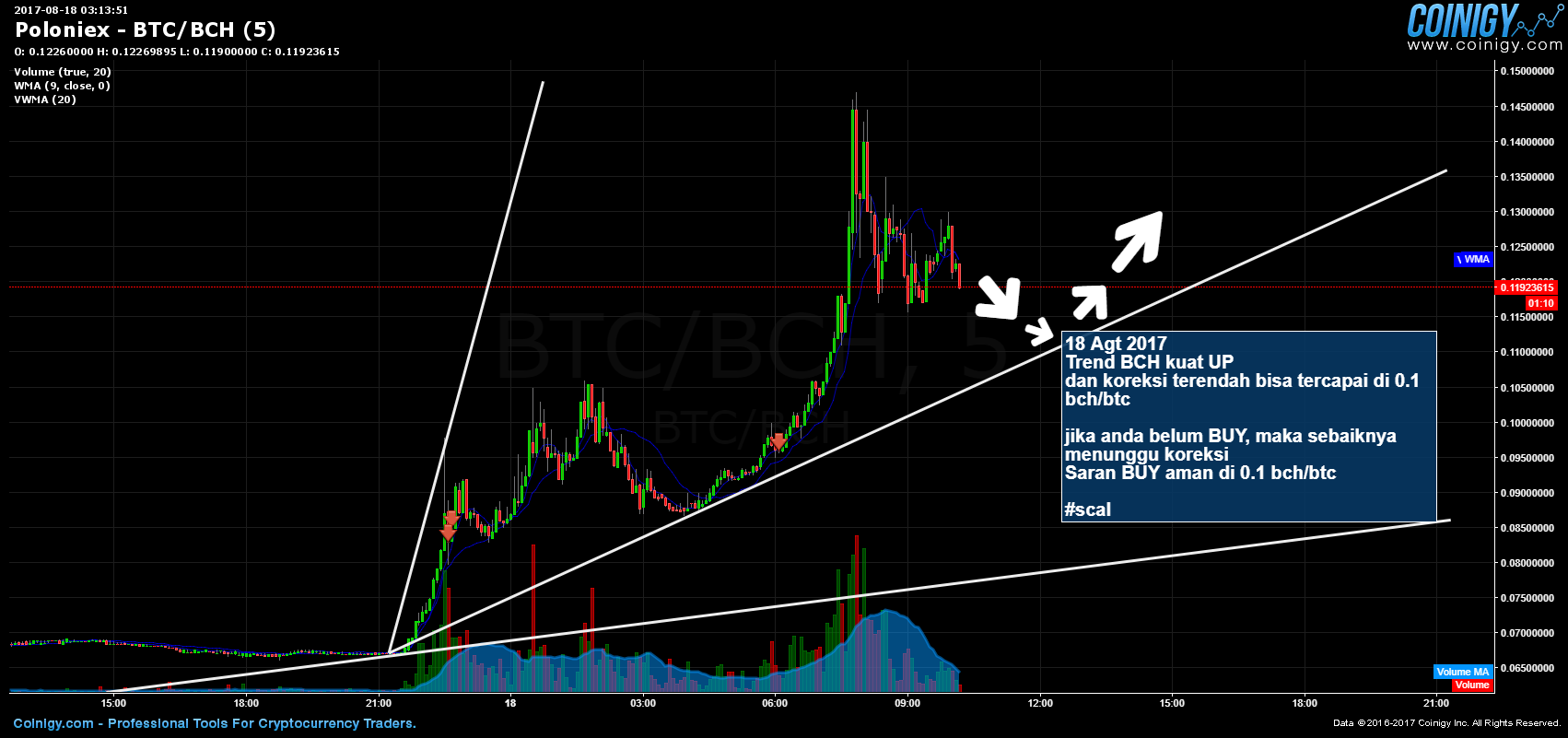 Bch Chart Live