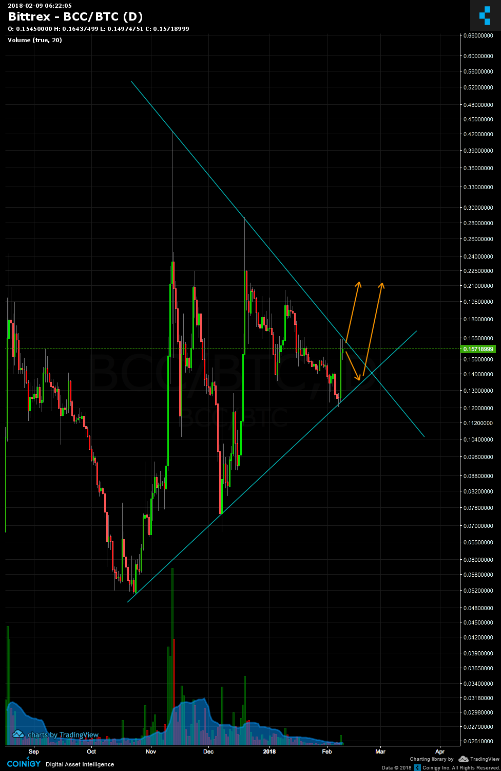 btc bcc bittrex