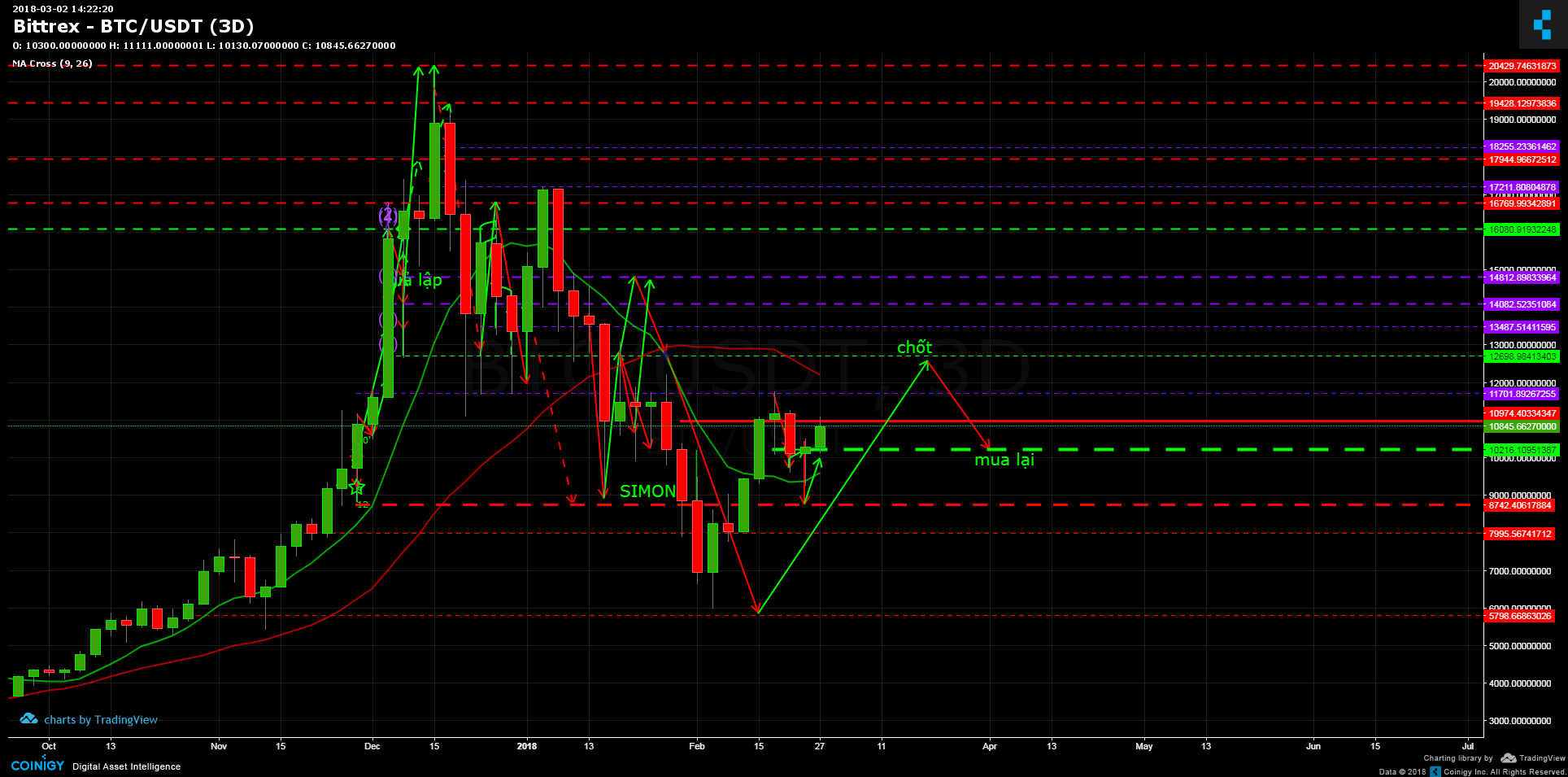 btc usd chart bittrex