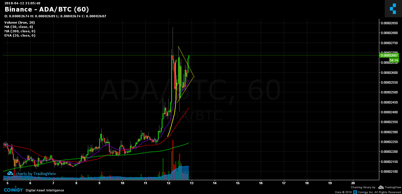 binance ada