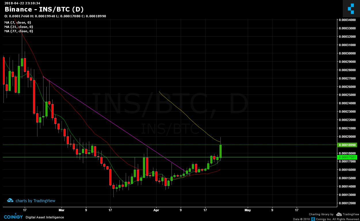 ins btc tradingview