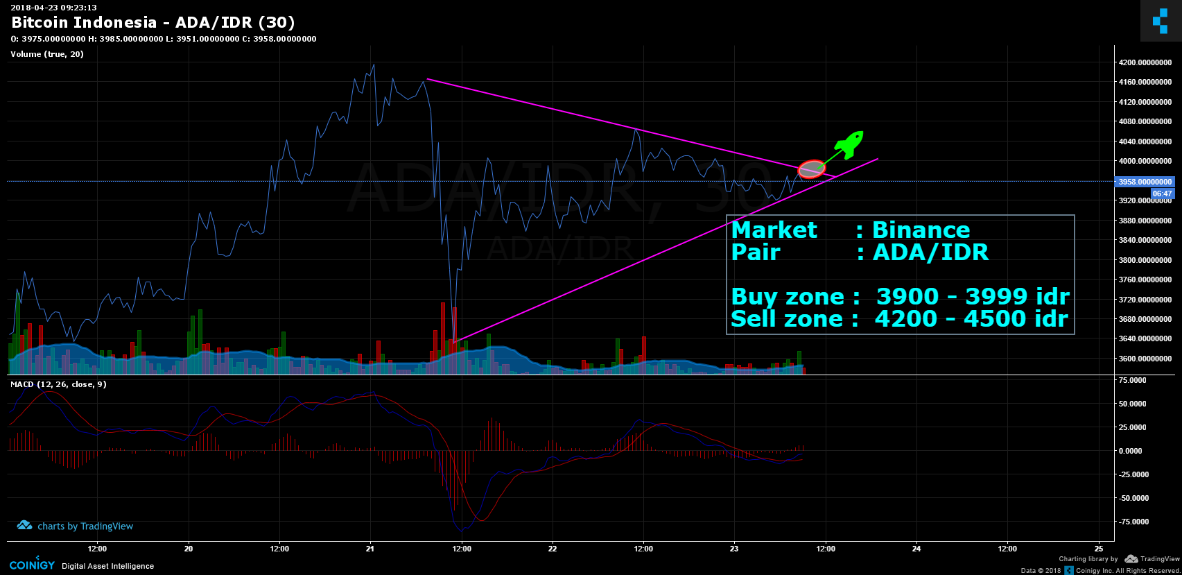 Chart Bitcoin Indonesia