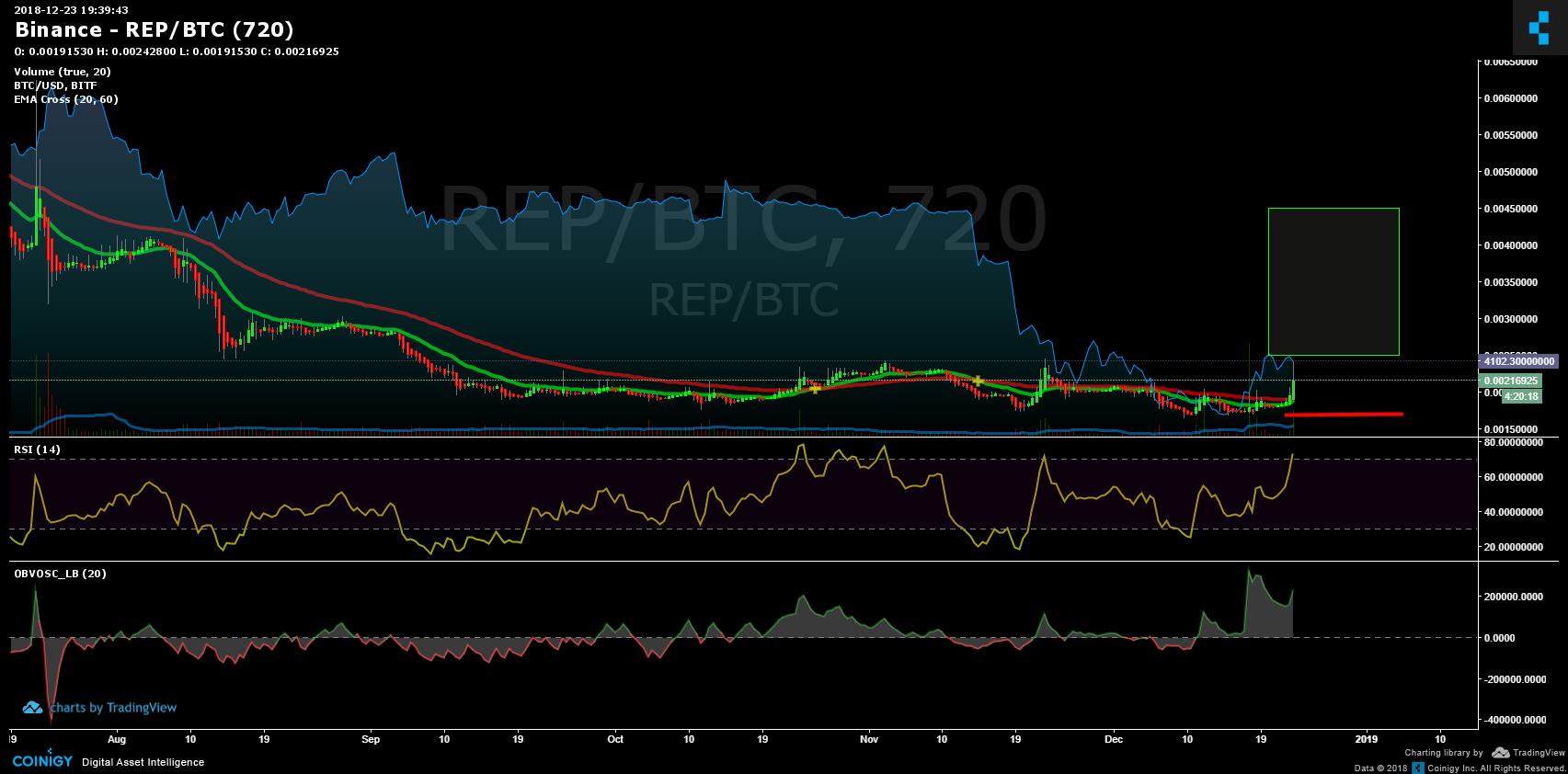 binance rep