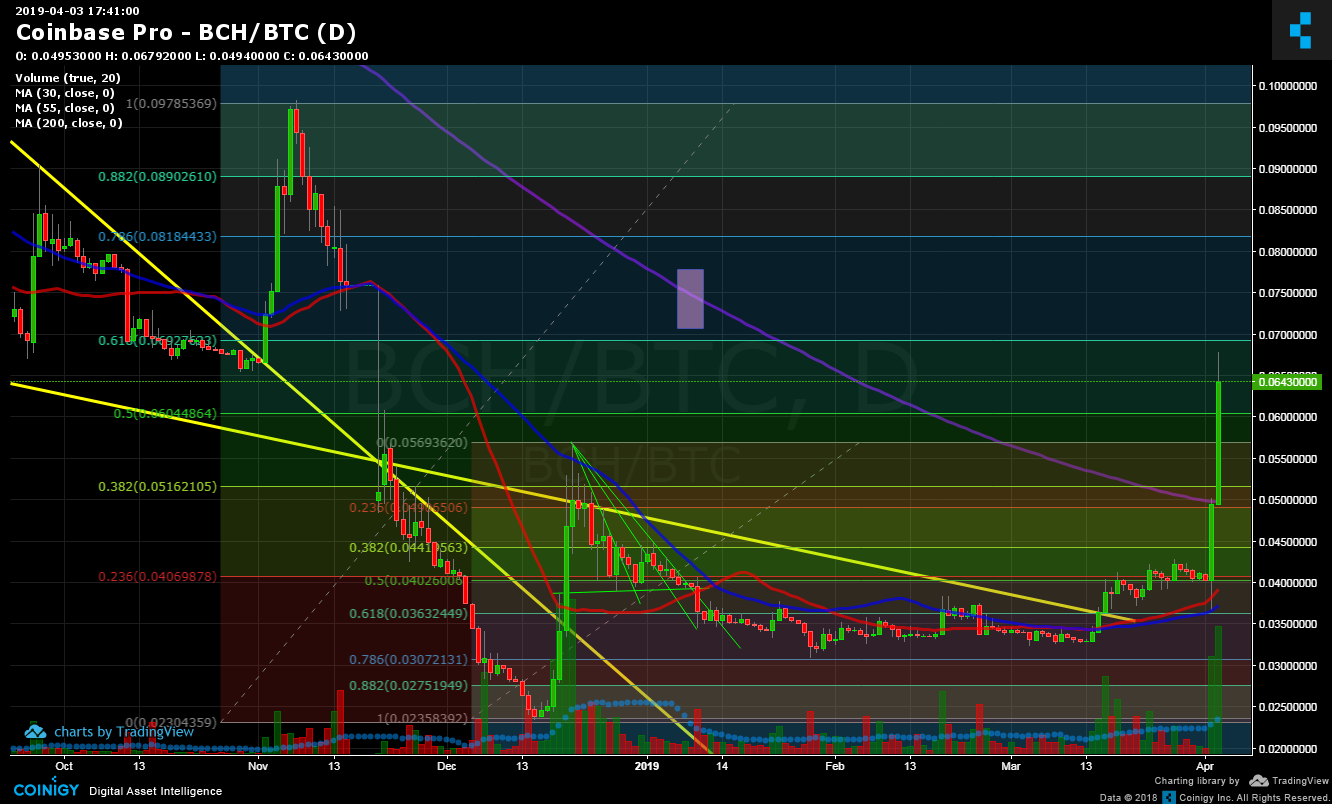 Bch Chart Live