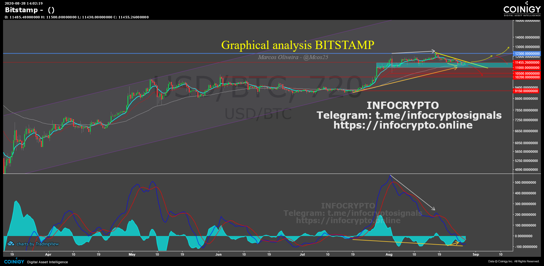 bitstamp augest